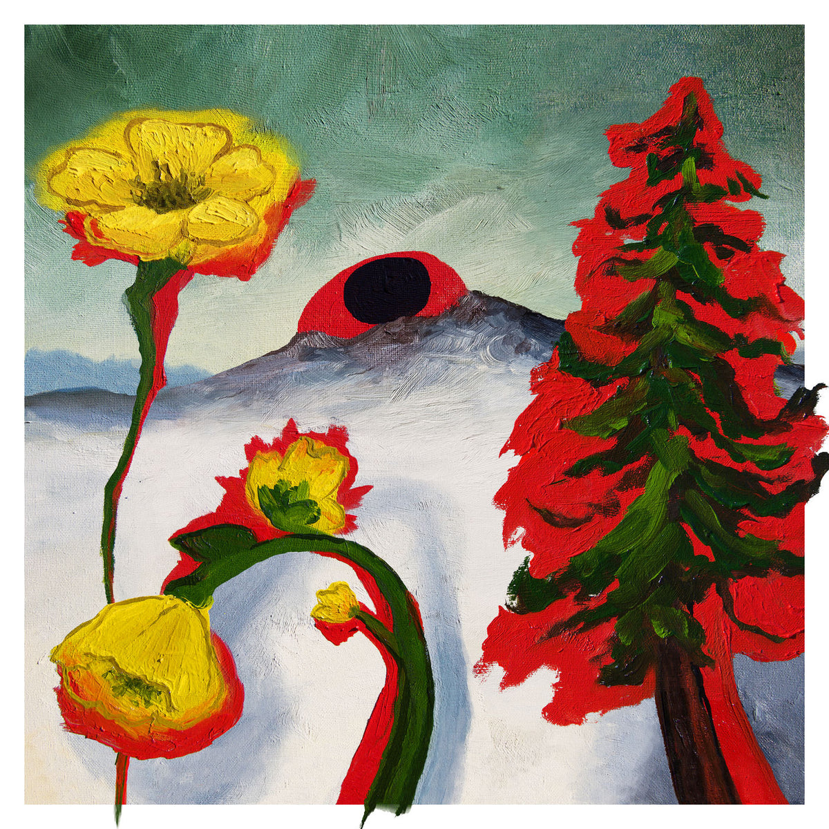Woods – Strange to Explain vinyl cover