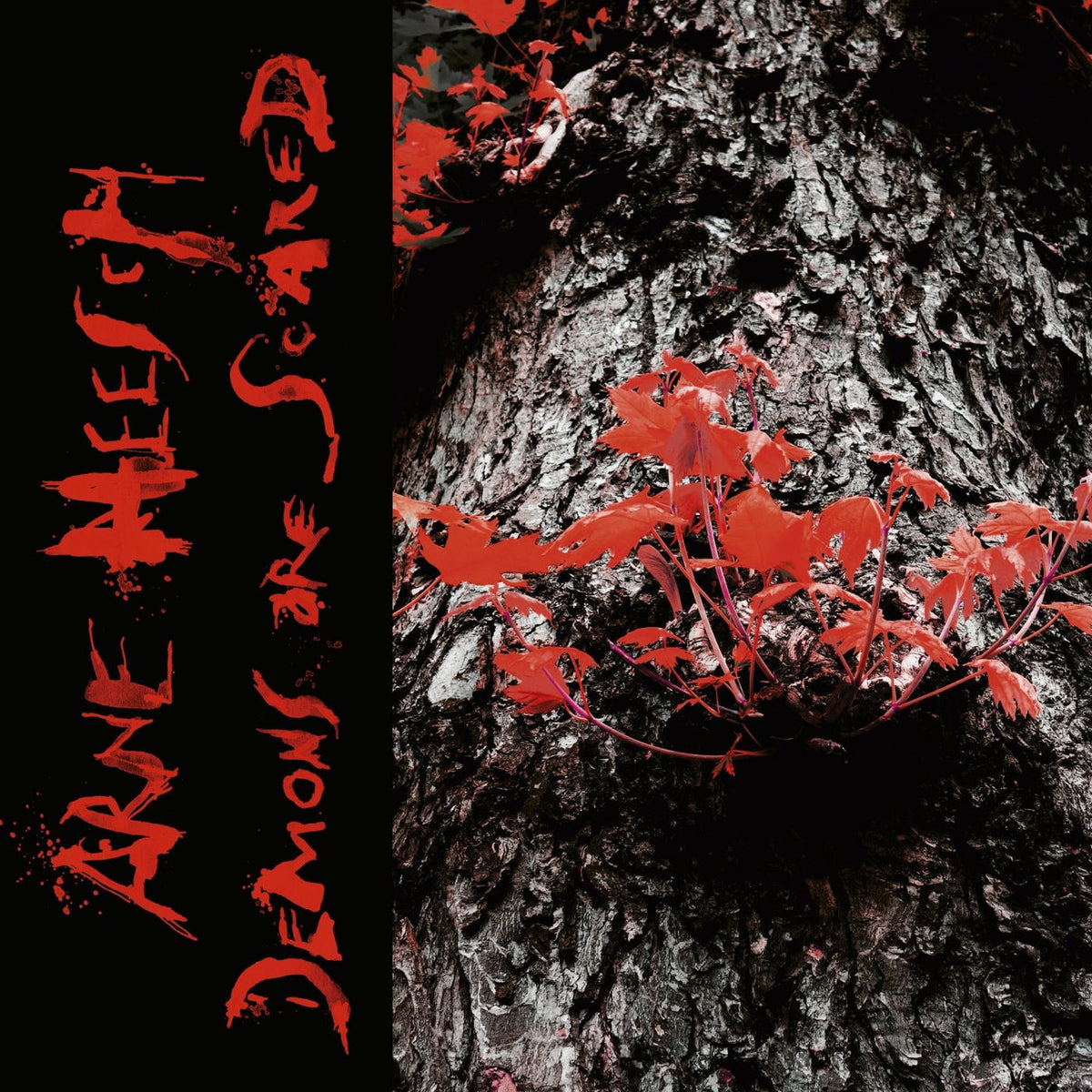 Arne Heesch – Demons Are Scared (LP+CD) vinyl record cover