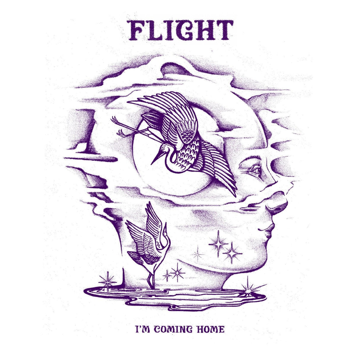 Flight – I'm Coming Home vinyl record cover
