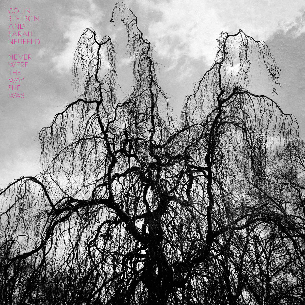 Colin Stetson – Never Were the Way She Was vinyl cover