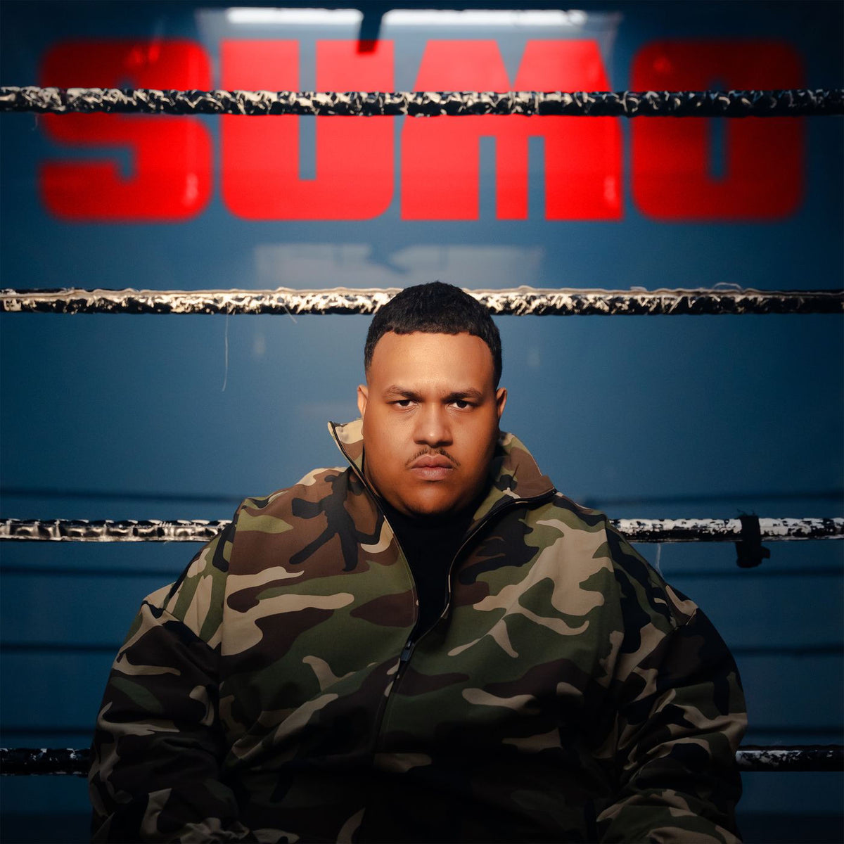 Dikke – SUMO vinyl record cover