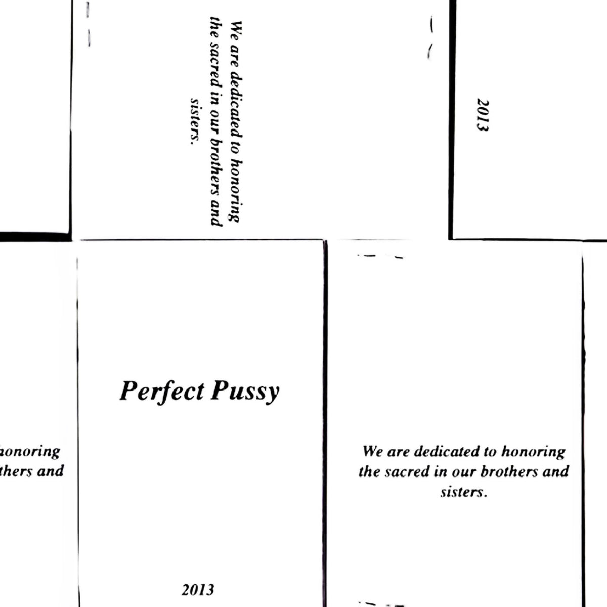 Perfect Pussy – I Have Lost All Desire for Feeling vinyl record cover