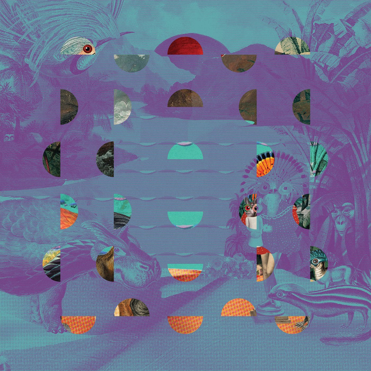 Various Artists – Jazz Dispensary: Super Skunk vinyl cover