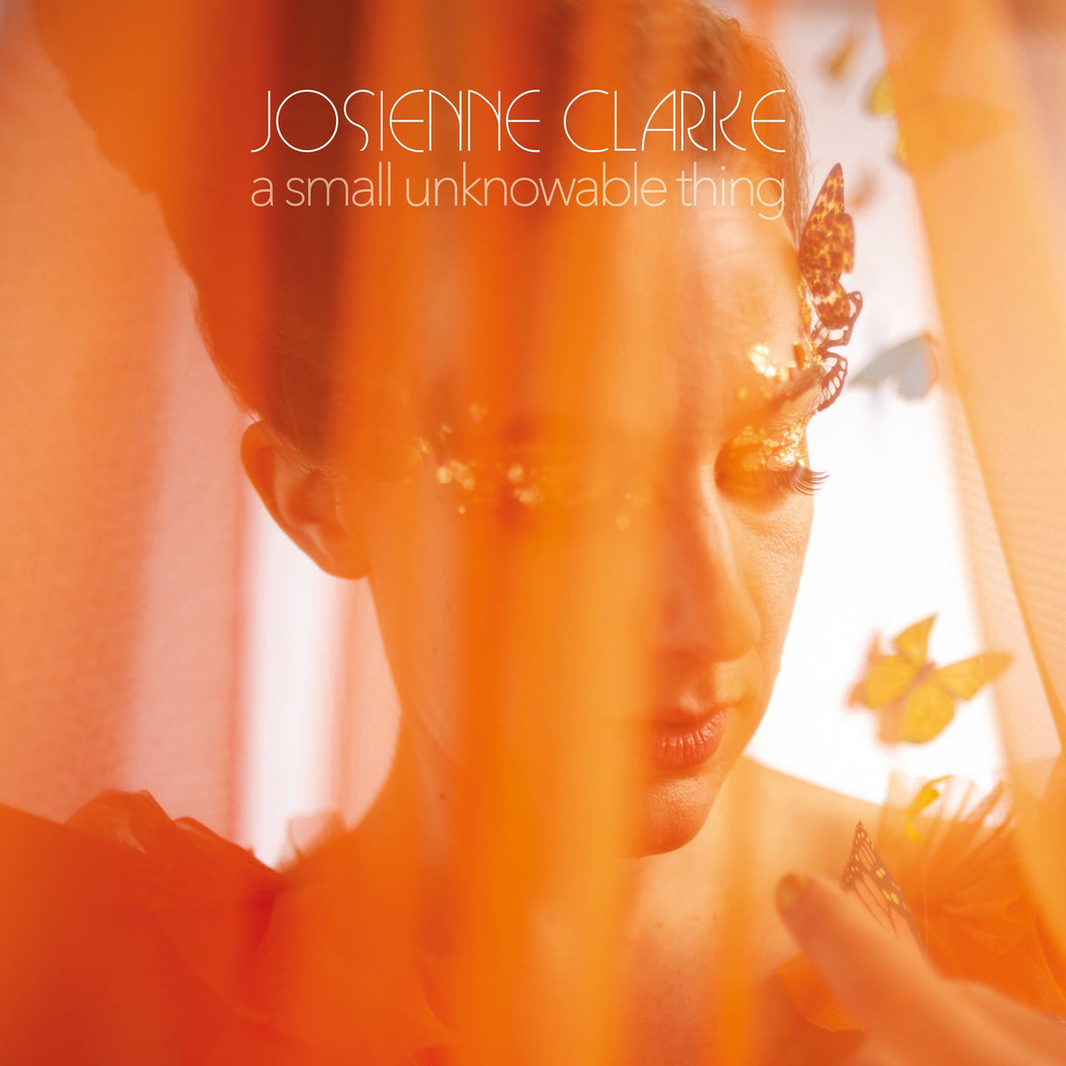 Josienne Clarke – A Small Unknowable Thing vinyl record cover
