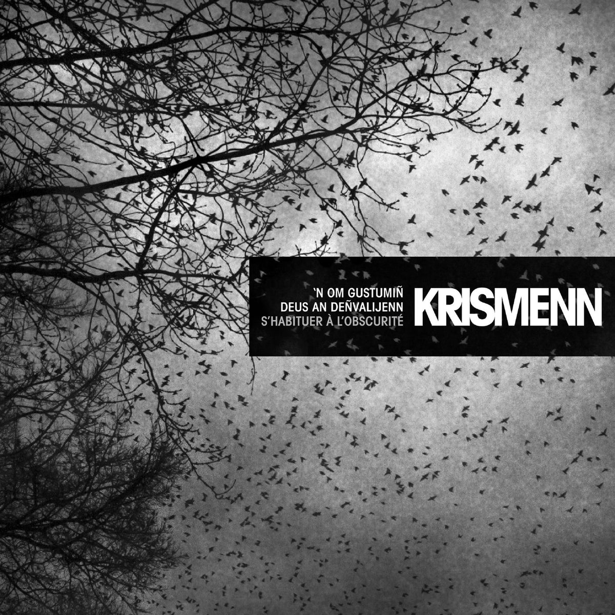 Krismenn – S'habituer à l'obscurité - 'N om gustumiñ deus an deñvalijenn vinyl cover