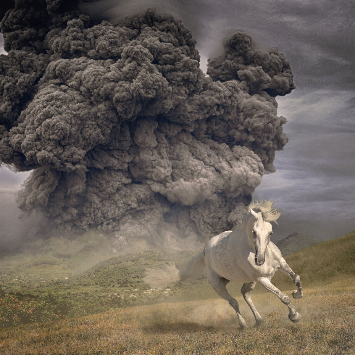 The White Buffalo – Year of the Dark Horse vinyl record cover