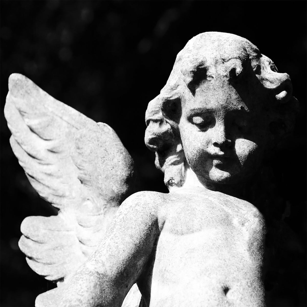 Cold Cave – Passion Depression vinyl record cover