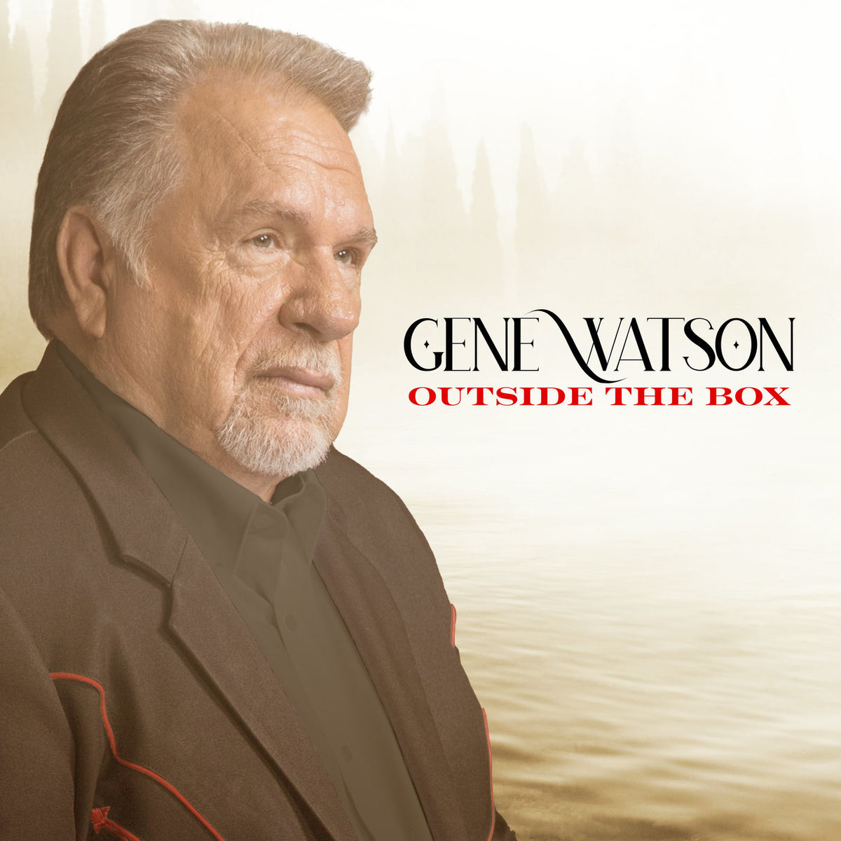 Gene Watson – Outside the Box vinyl record cover
