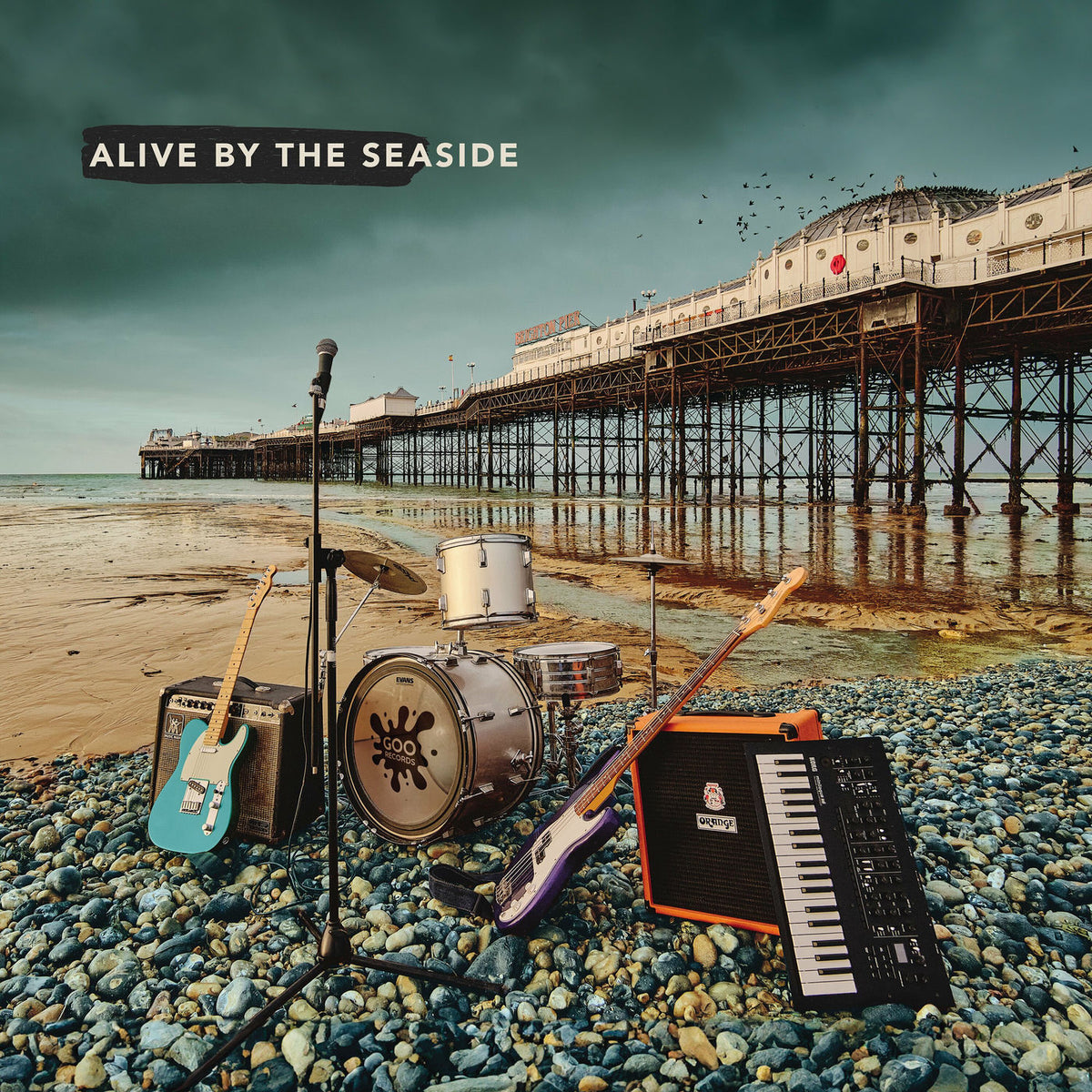 Various Artists – Alive By The Seaside vinyl cover