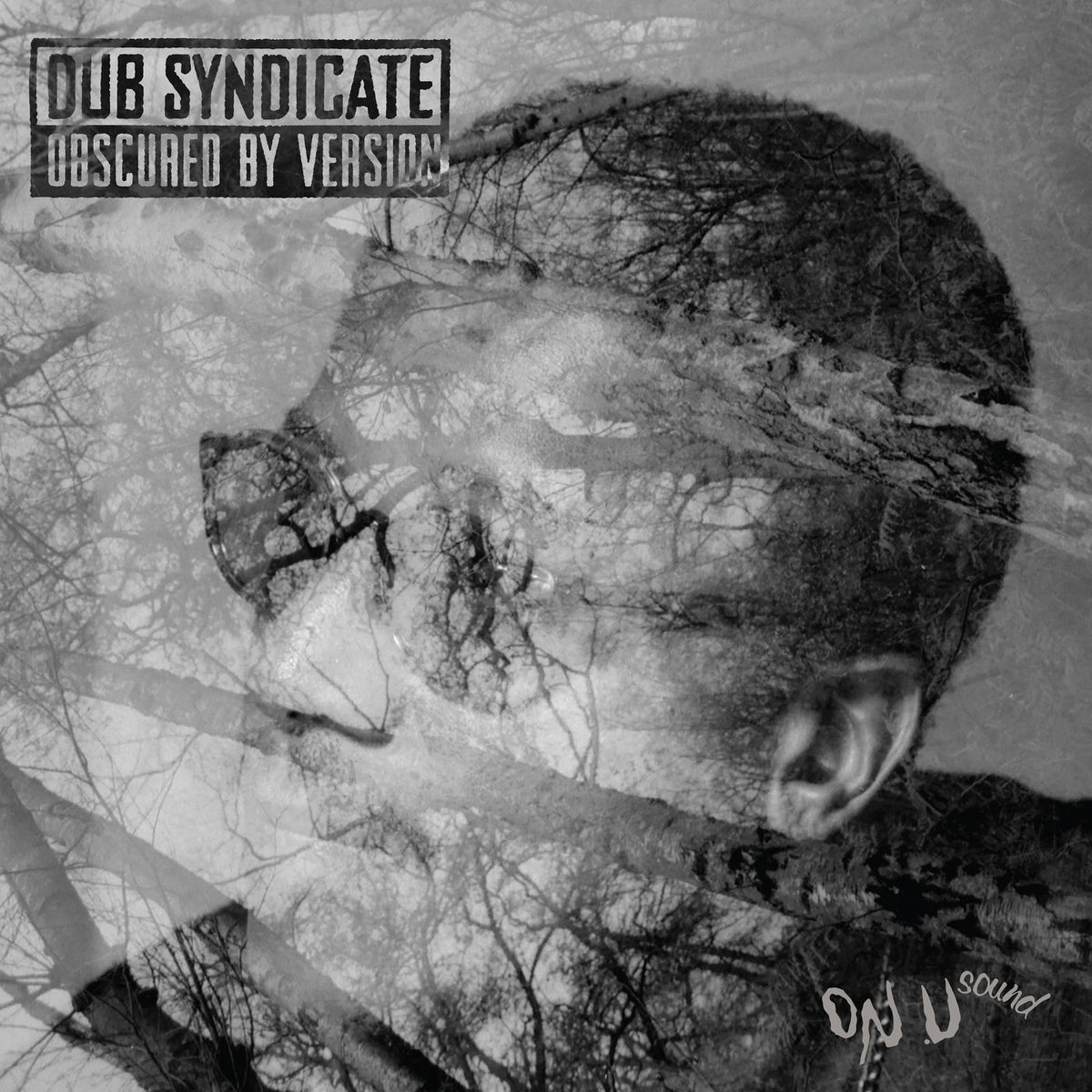 Dub Syndicate – Obscured By Version vinyl cover