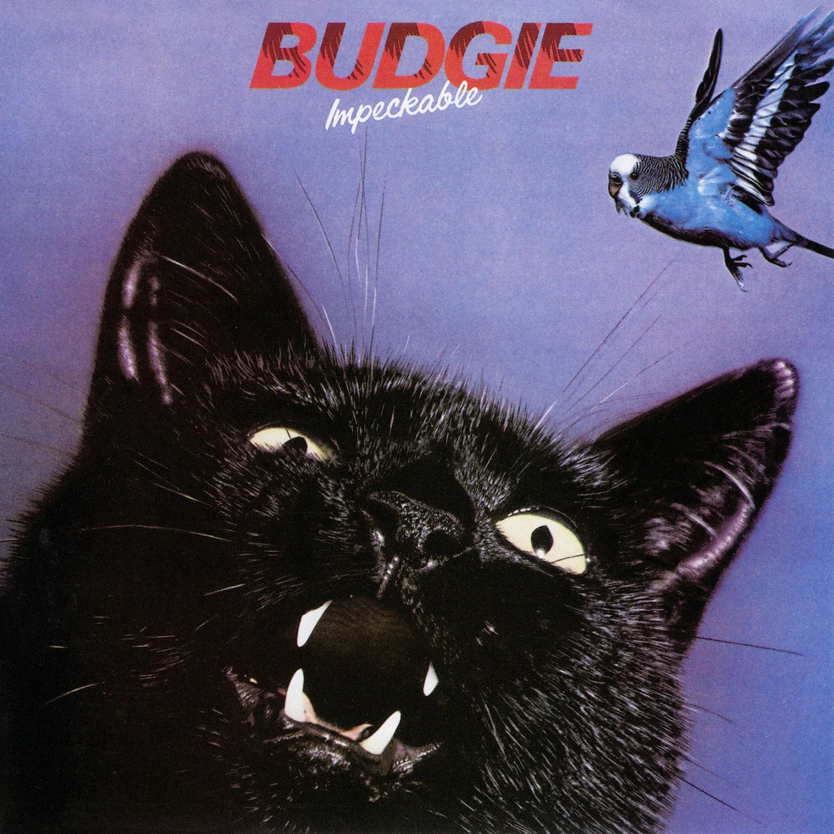 Budgie – Impeckable (Picture Disc) vinyl record cover