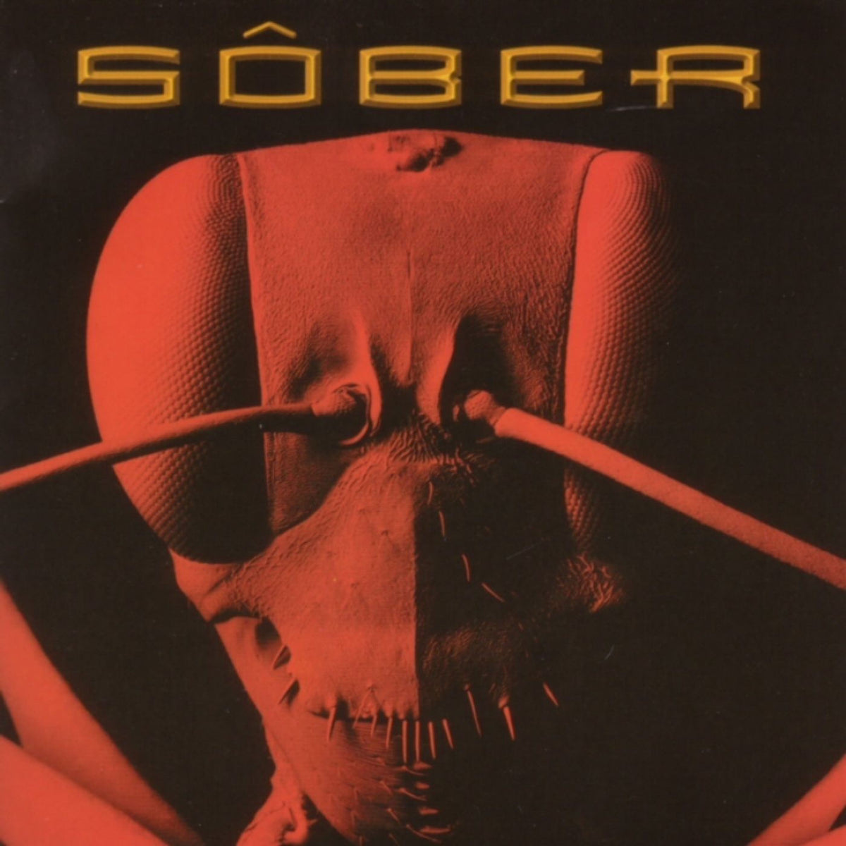 Sober – Morfologia vinyl record cover
