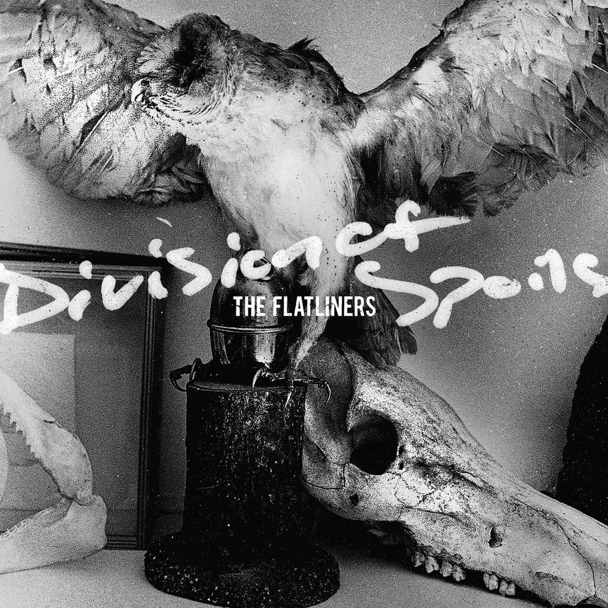 The Flatliners – Division of Spoils vinyl cover