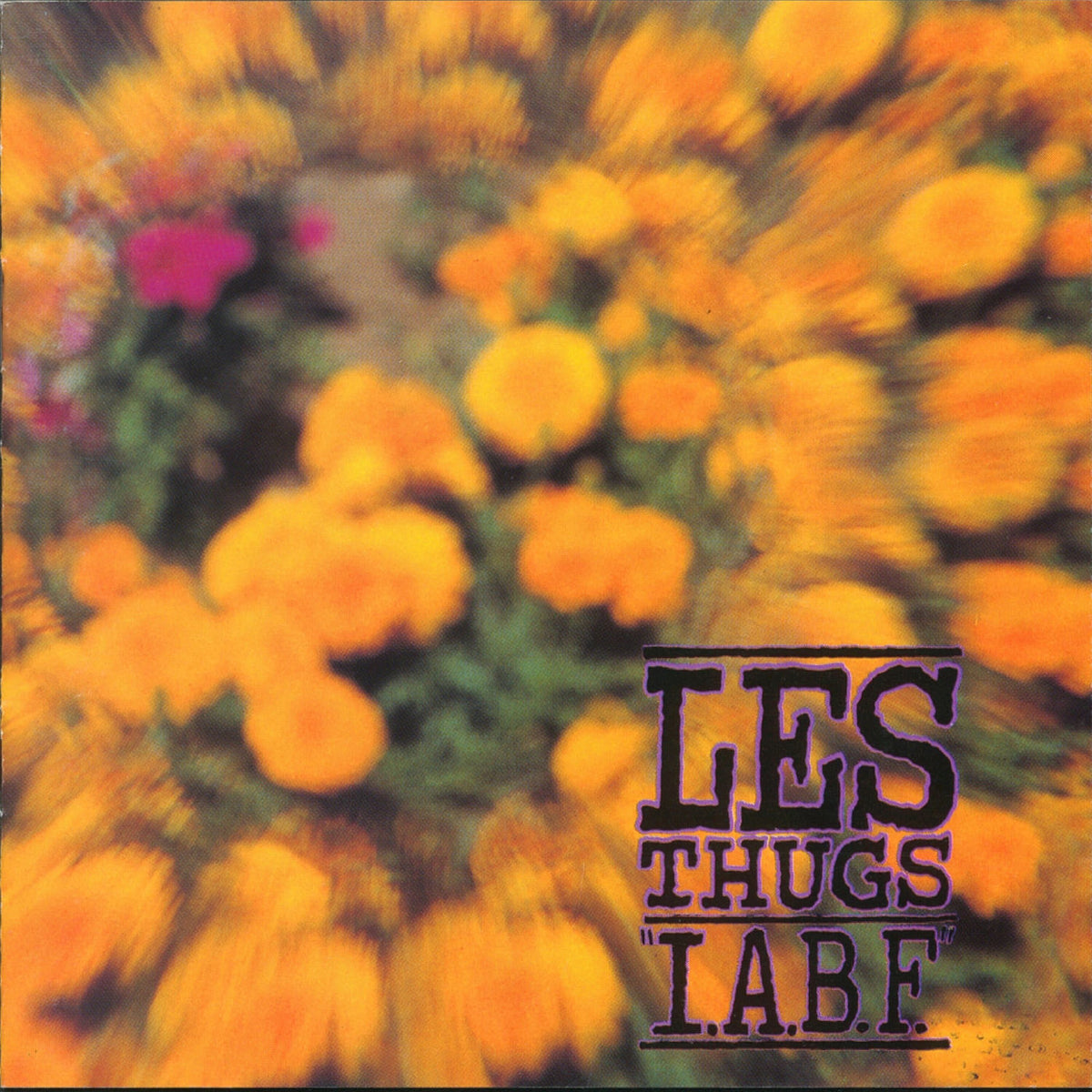 Les Thugs – I.A.B.F. (FRA) vinyl record cover