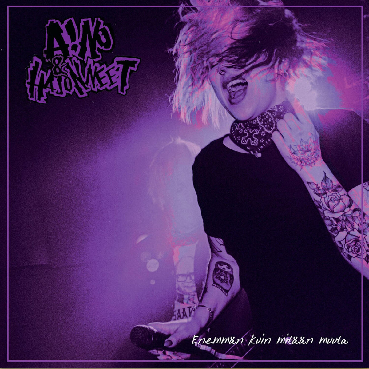 Aino & Hajonneet – Enemman Kuin Mitaan Muuta vinyl record cover