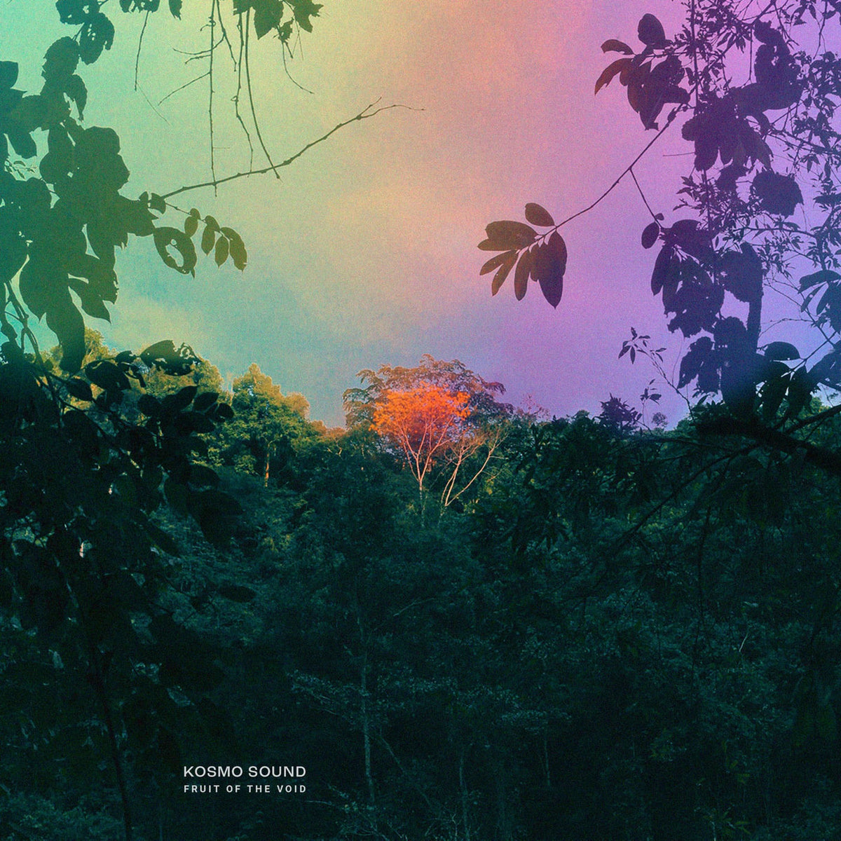 Kosmo Sound – Fruit of the Void vinyl record cover