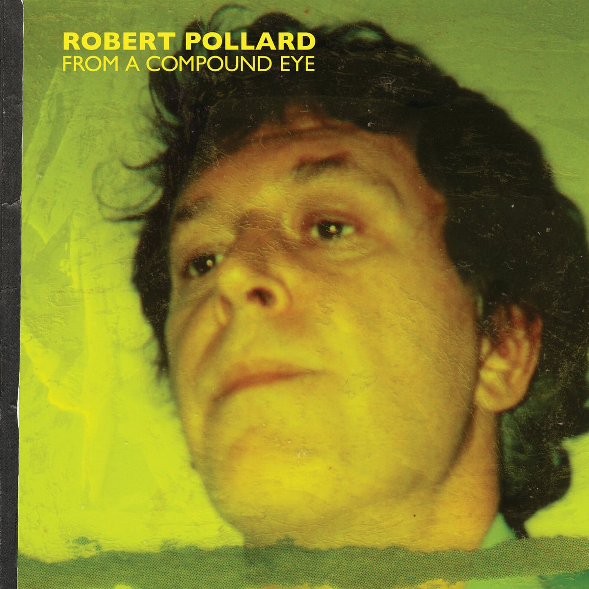 Robert Pollard – From a Compound Eye vinyl record cover