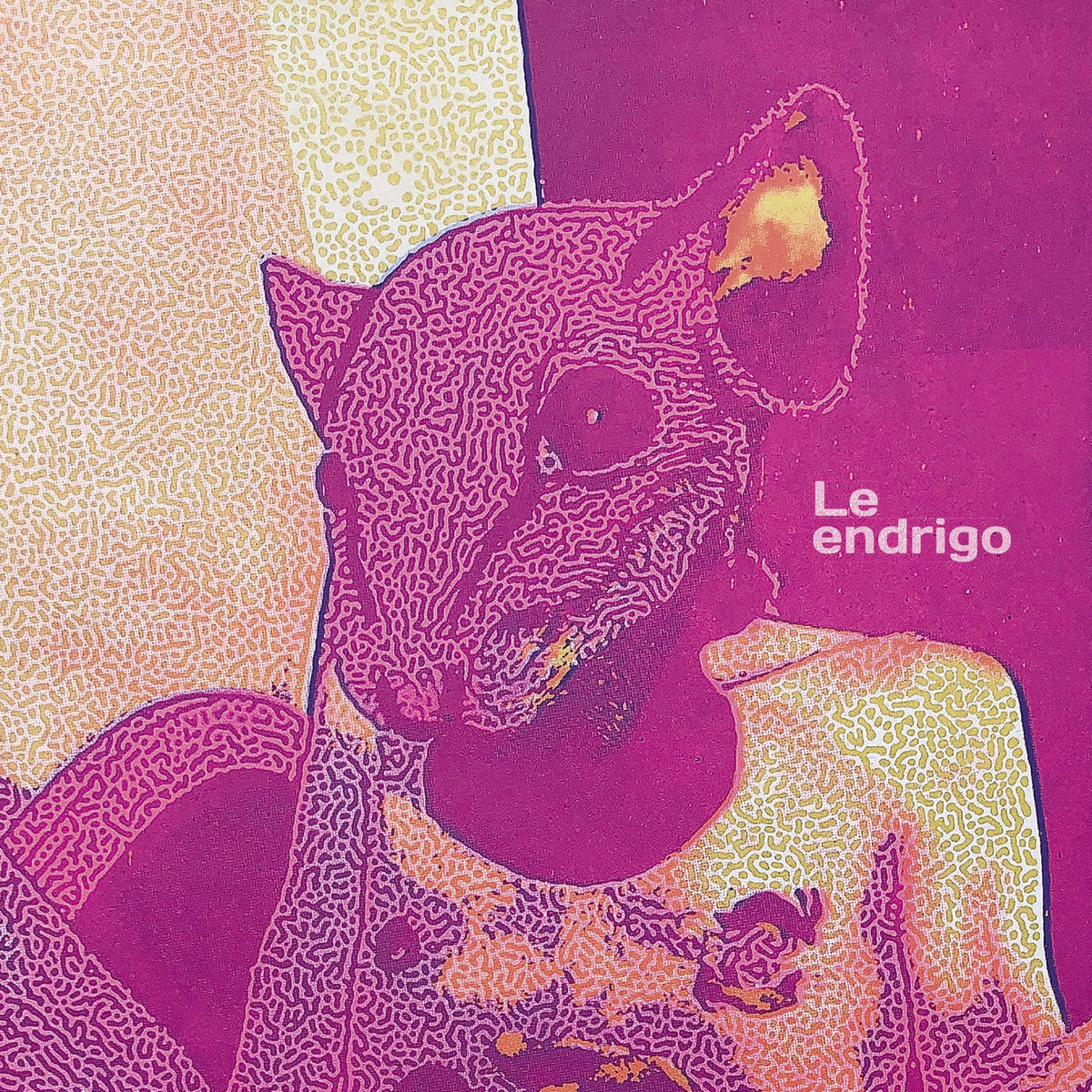 Le Endrigo – Le Endrigo vinyl record cover
