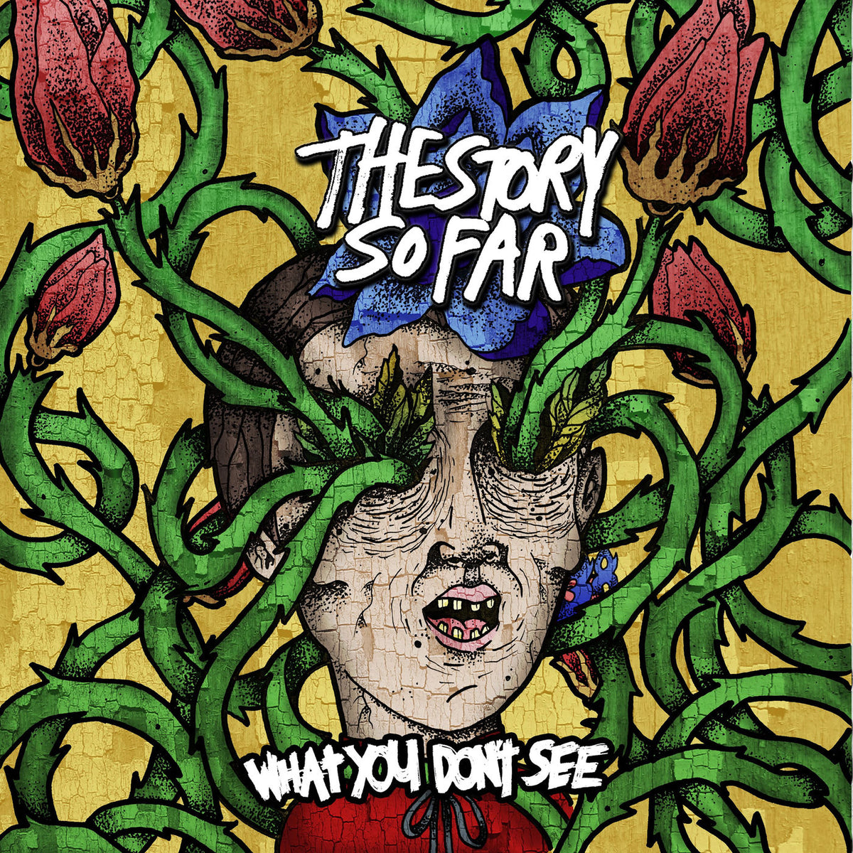 The Story So Far – What You Don't See vinyl record cover