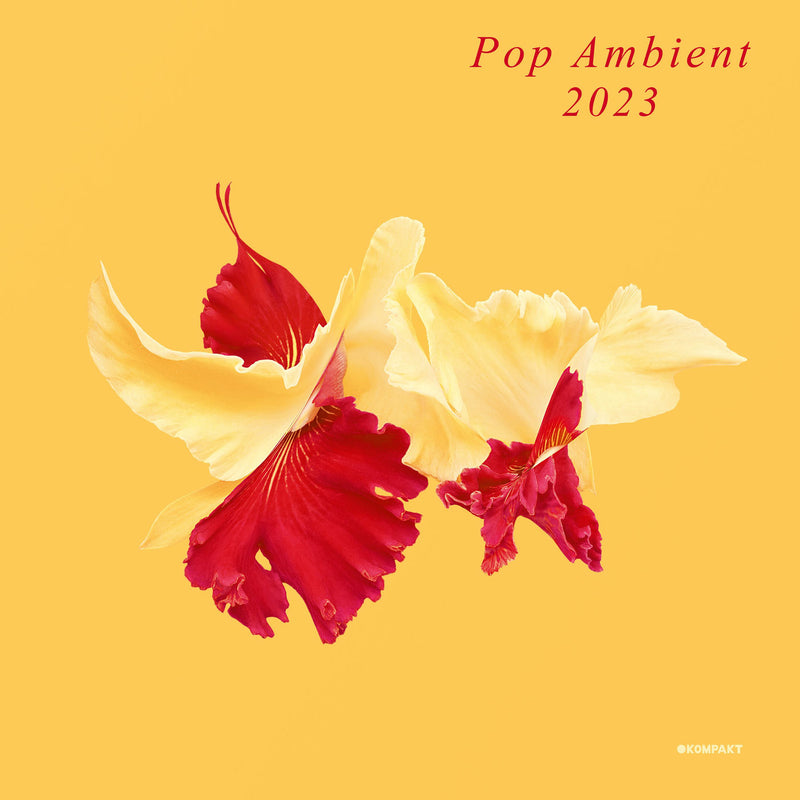 Various Artists – Pop Ambient 2023 vinyl record cover