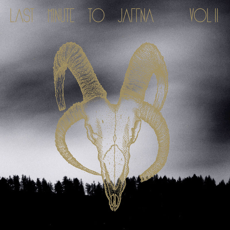 Last Minute to Jaffna – Volume II vinyl record cover