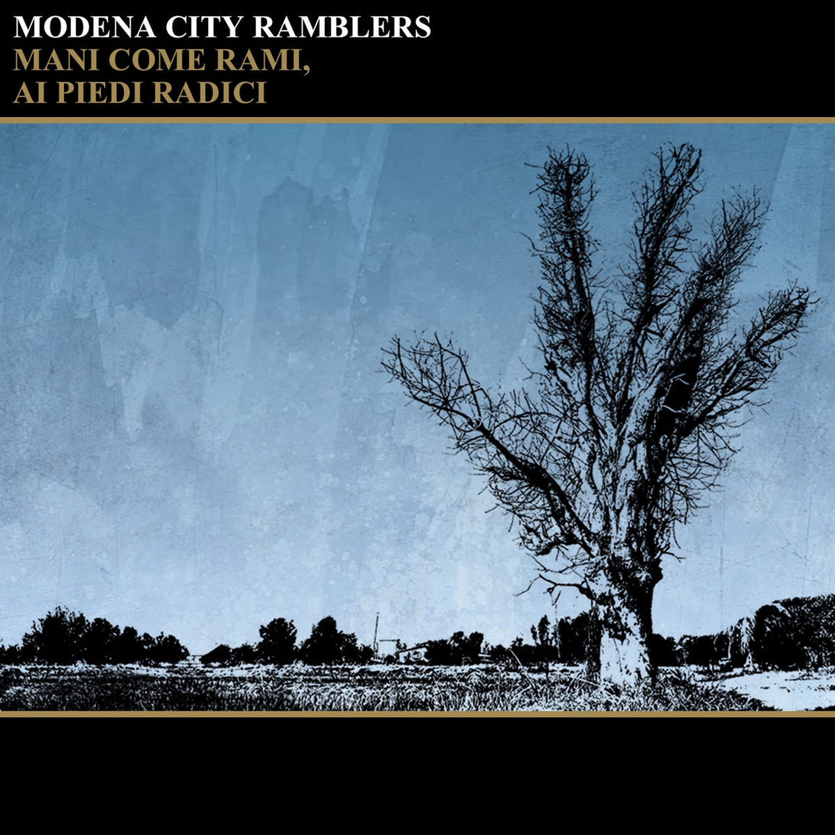 Modena City Ramblers – Mani Come Rami Ai Piedi Radici vinyl record cover