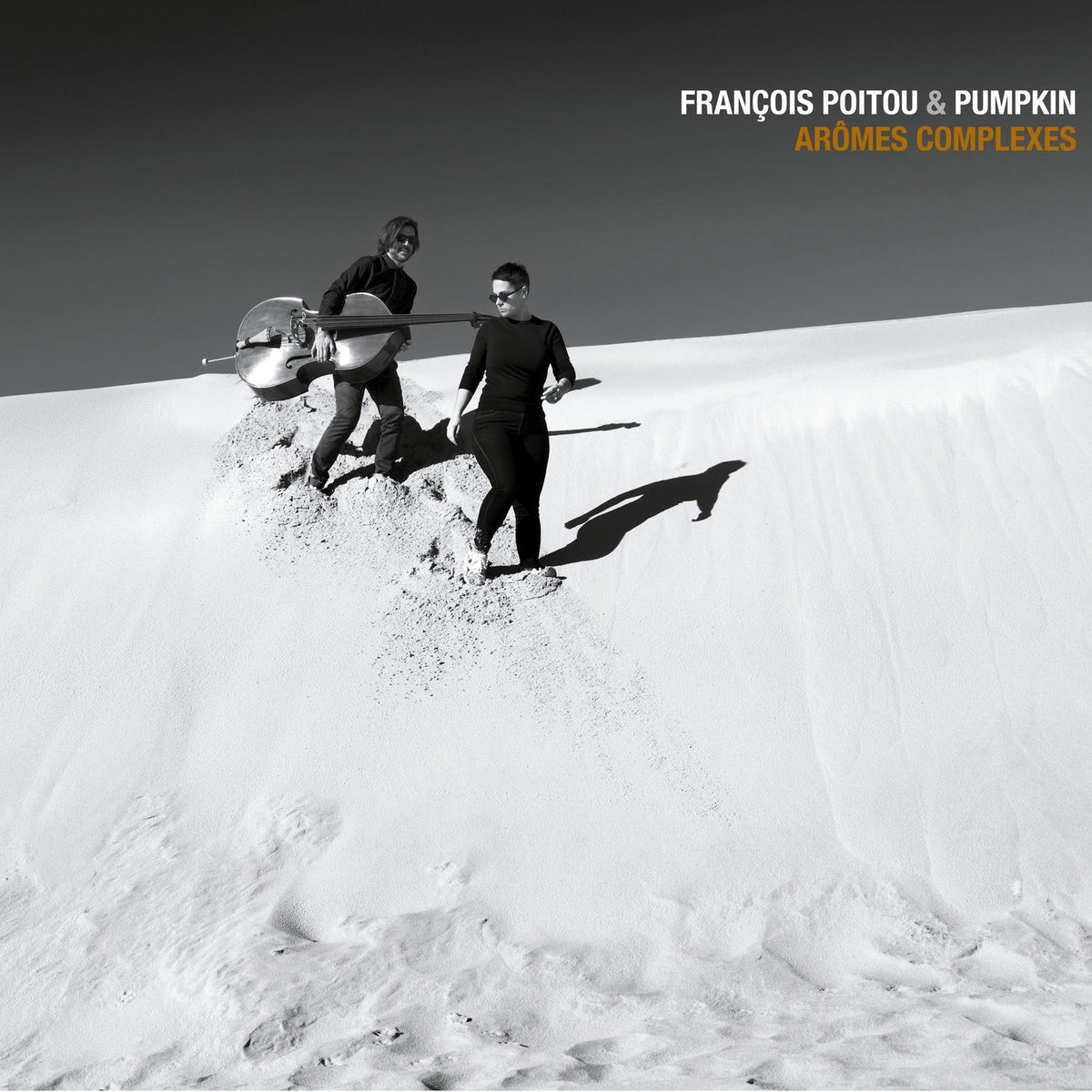 Francois Poitou – Aromes Complexes [LP] vinyl record cover