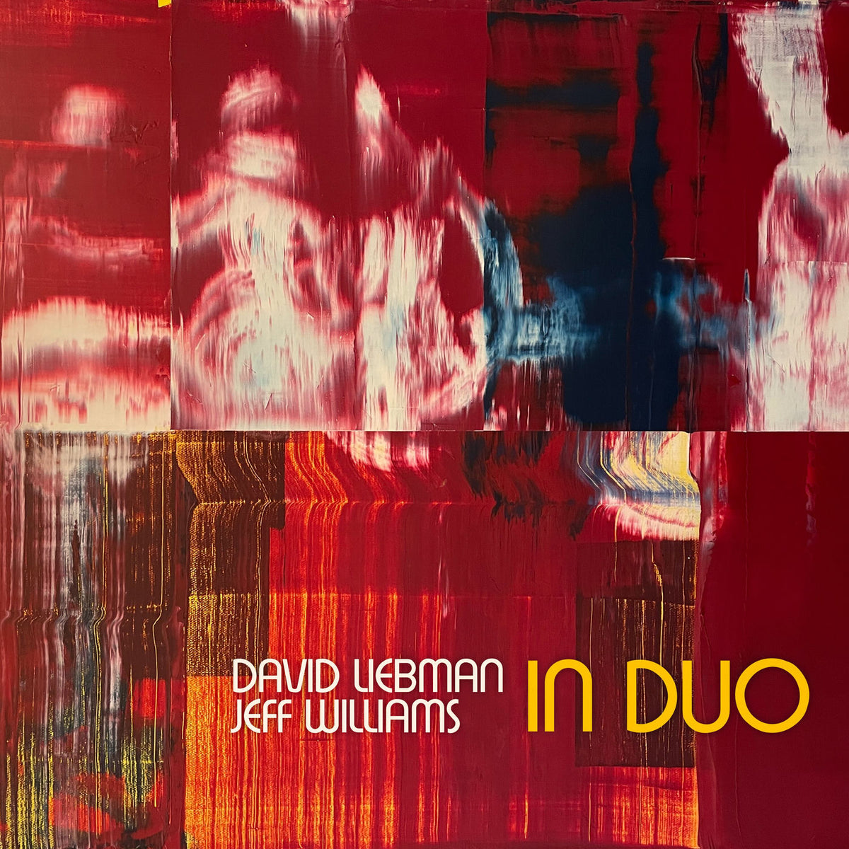 David Liebman – In Duo vinyl cover