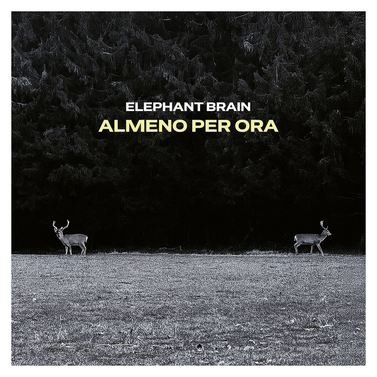 Elephant Brain – Almeno Per Ora vinyl record cover