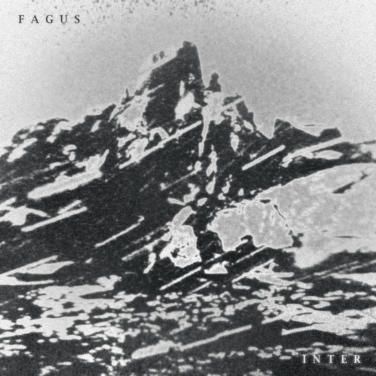 Fagus – Inter vinyl record cover