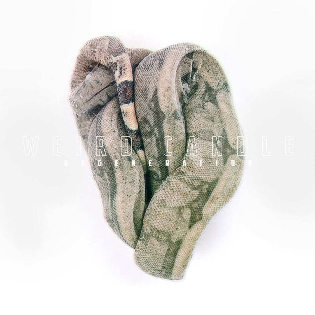 Weird Candle – Regeneration vinyl record cover