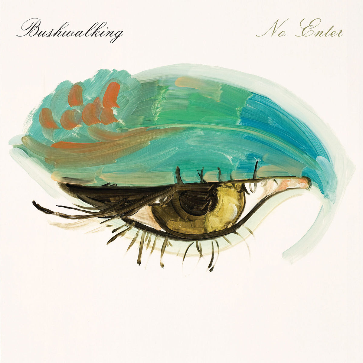 Bushwalking – No Enter vinyl record cover