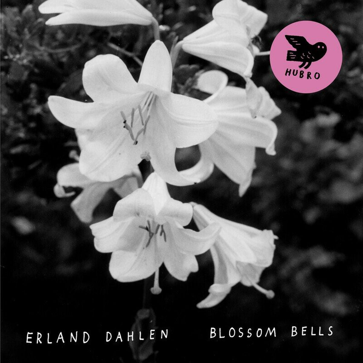 Erland Dahlen – Blossom Bells vinyl cover