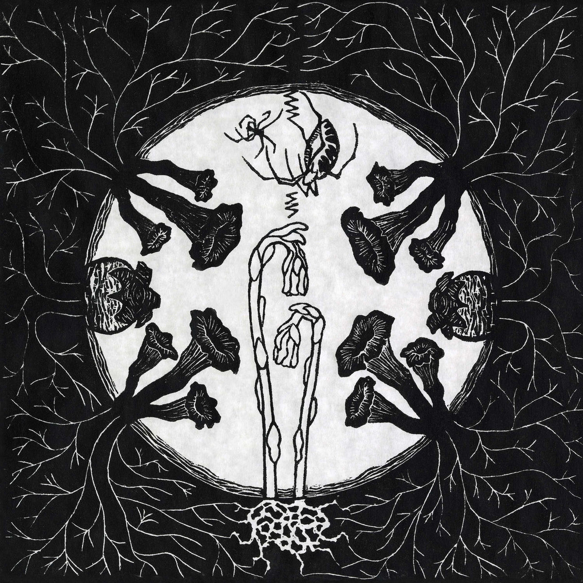 Magic Tuber Stringband – Tarantism [LP] vinyl record cover
