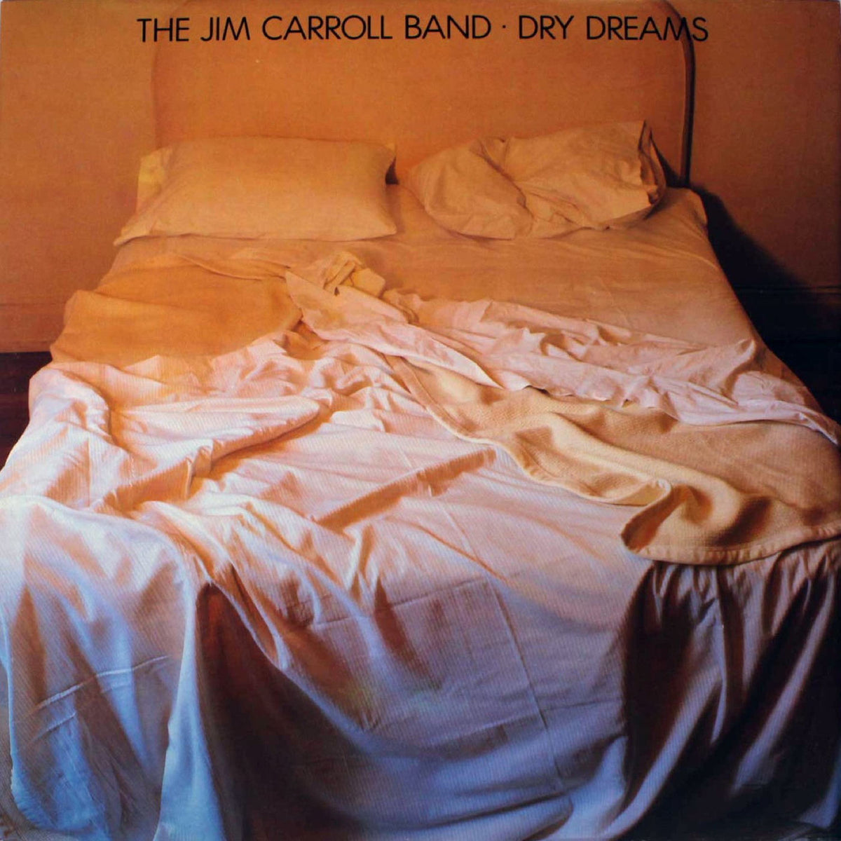 The Jim Carroll Band – Dry Dreams — record image 1