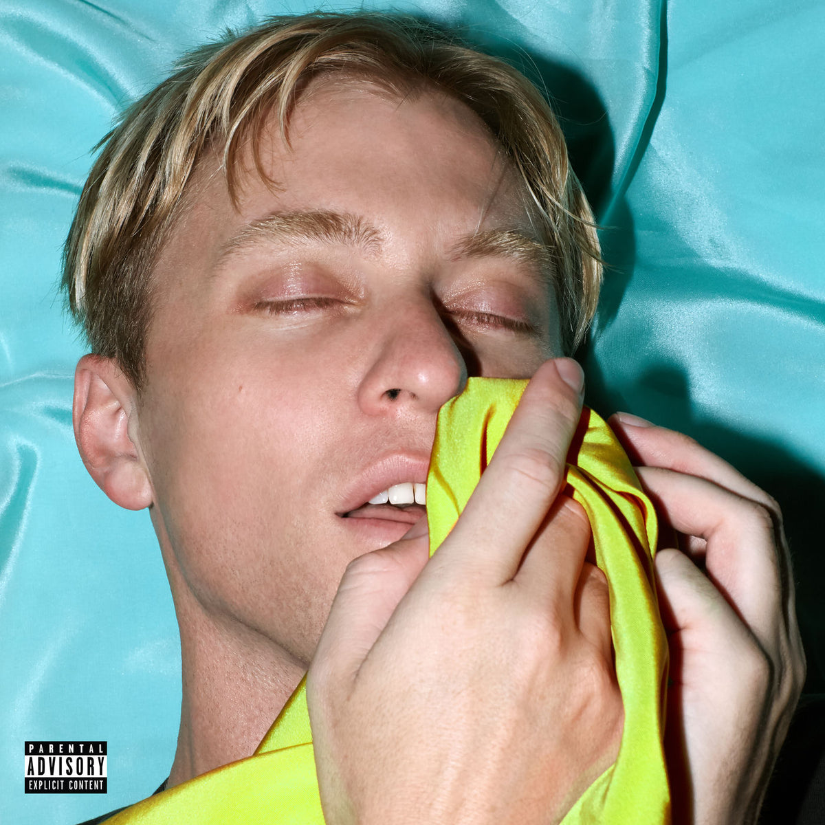 The Drums – Brutalism vinyl cover