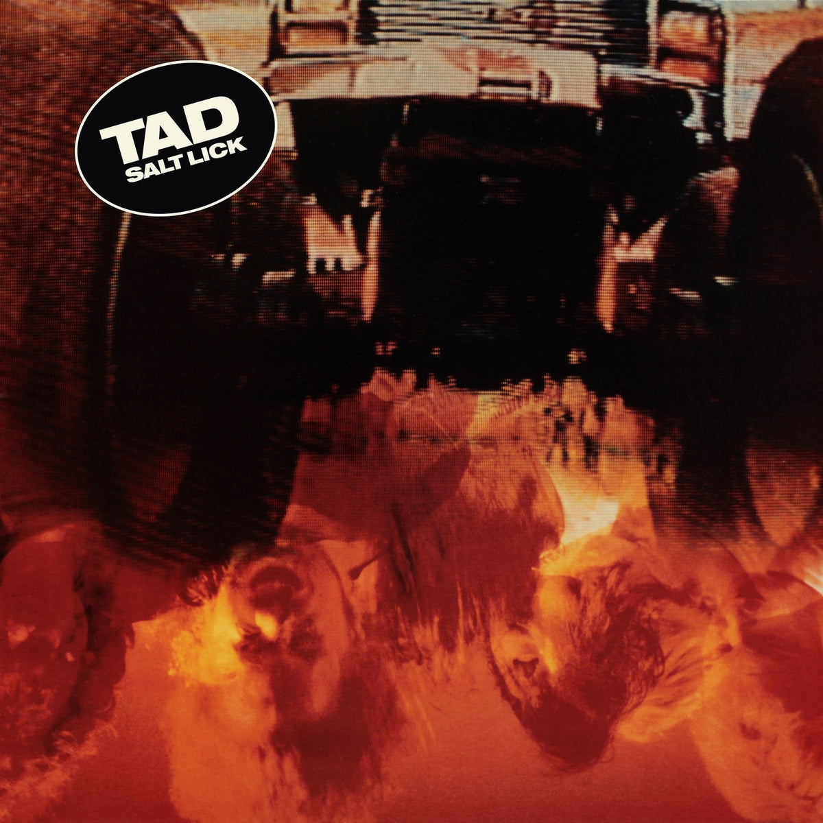 Tad – Salt Lick (Deluxe Edition) vinyl cover