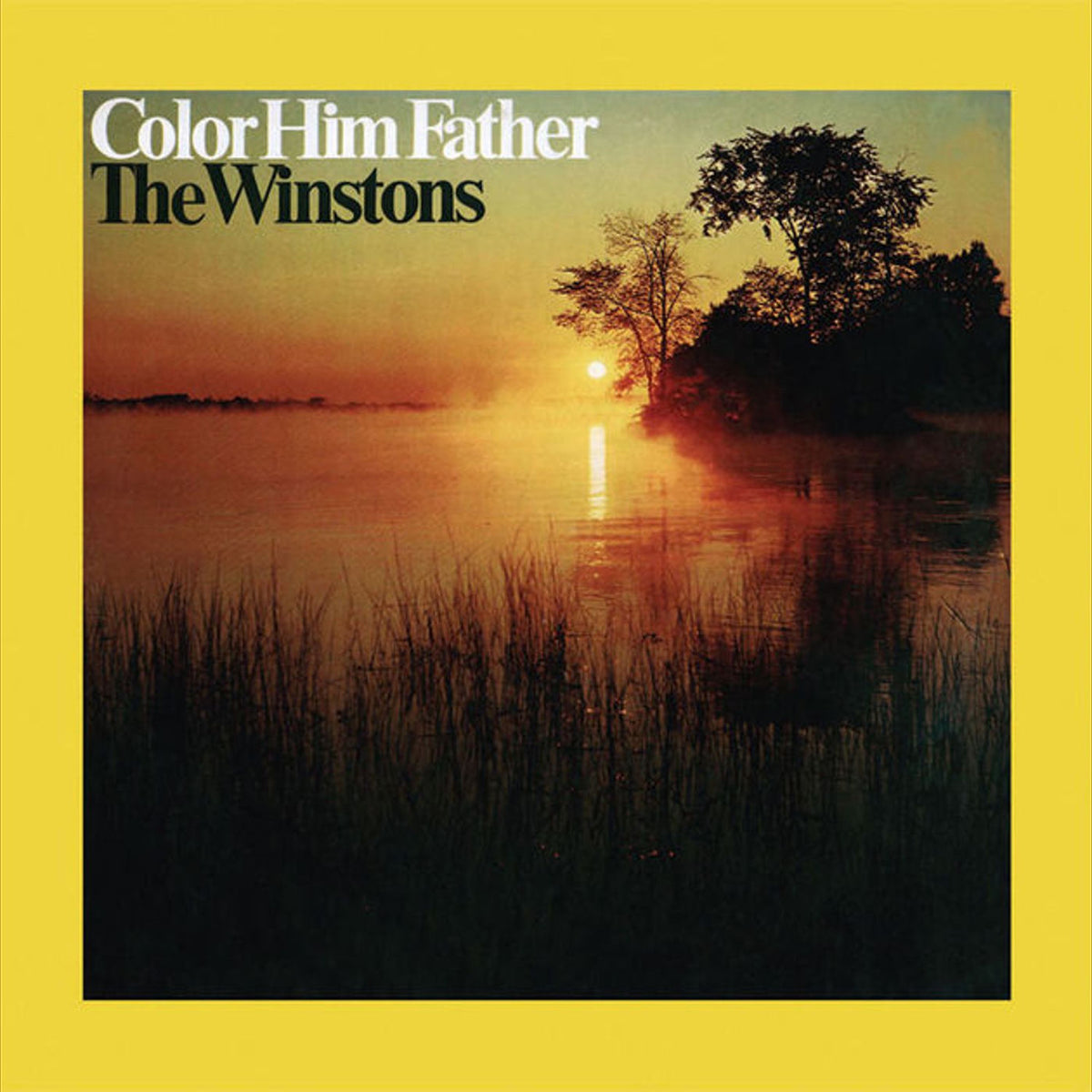 The Winstons – Color Him Father vinyl record cover