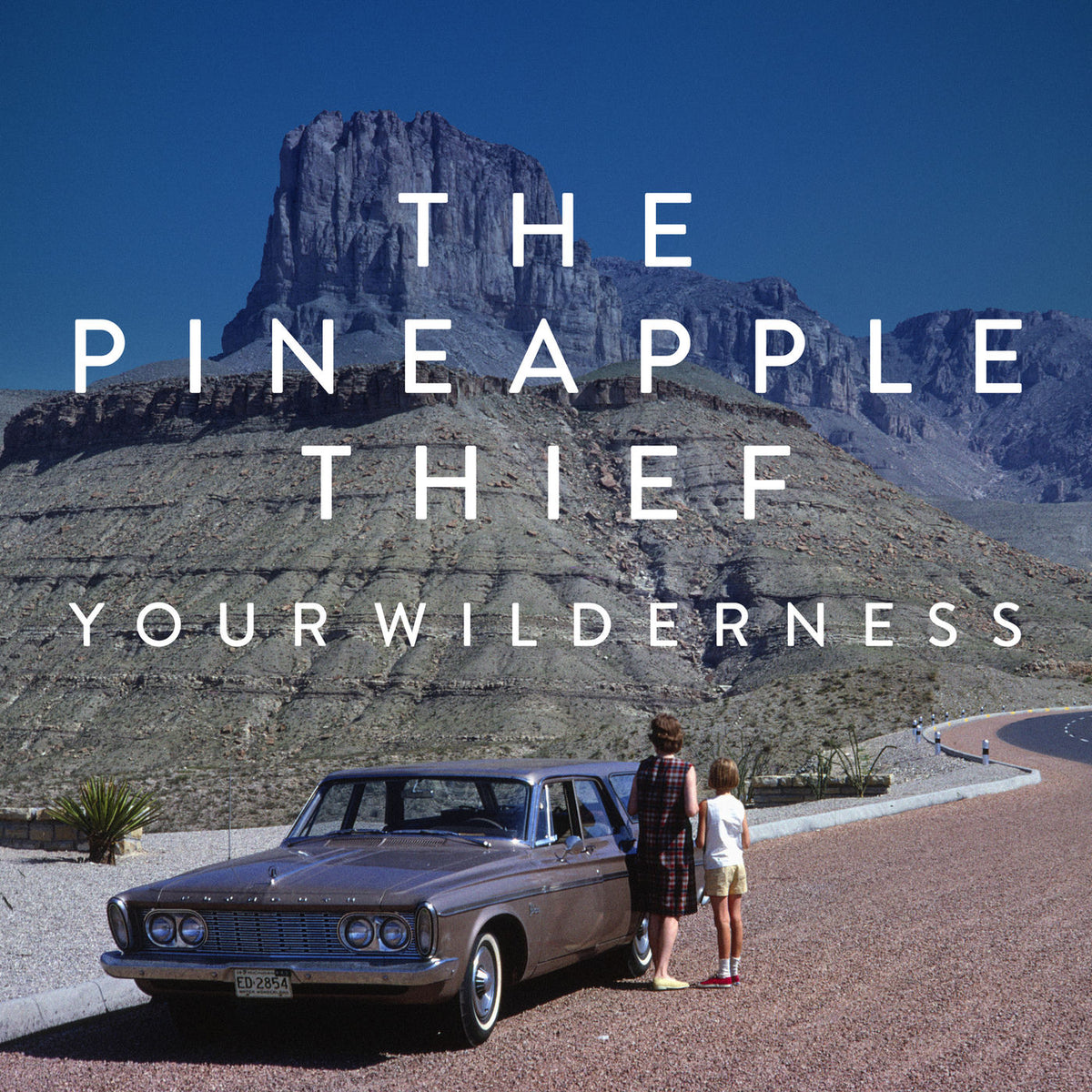 The Pineapple Thief – Your Wilderness (10th Anniversary Edition) vinyl record cover