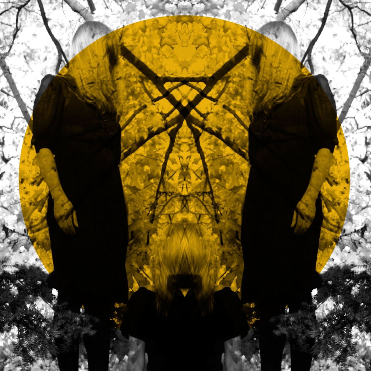 Austra – Feel It Break vinyl record cover