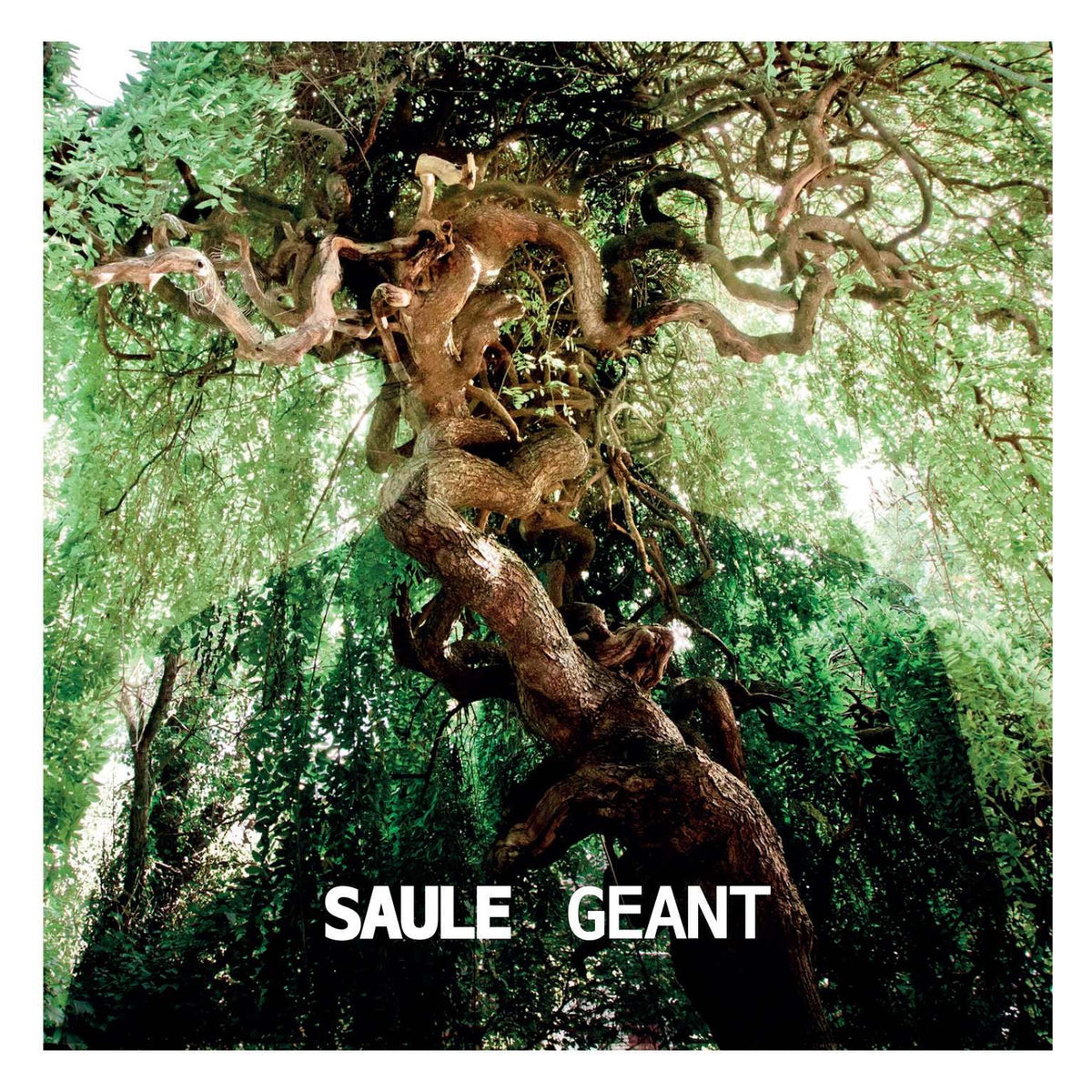 Saule – G�Ant (LP/CD) vinyl record cover