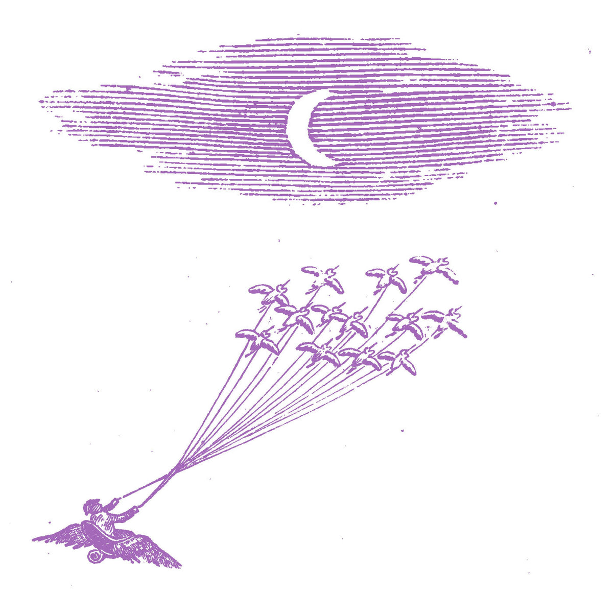 Feeling Figures – Migration Magic [LP] vinyl record cover