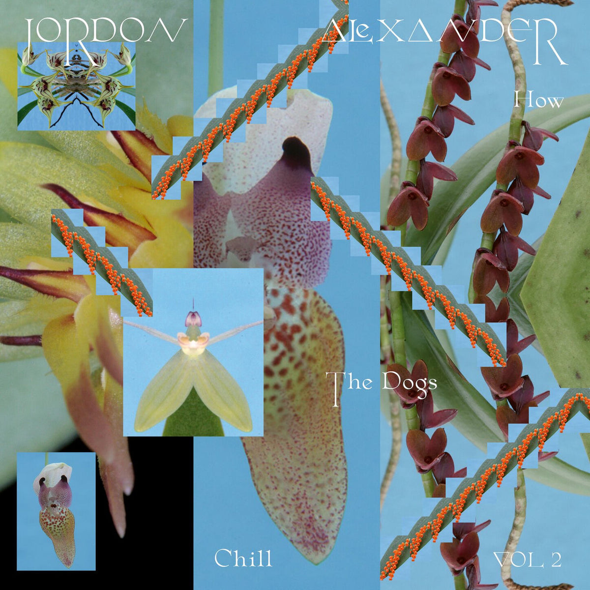 Jordon Alexander – How The Dogs Chill Vol. 2 vinyl cover