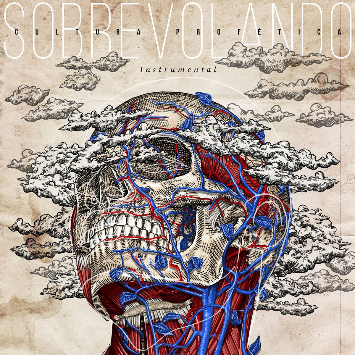 Cultura Profetica – Sobrevolando: Instrumental vinyl record cover