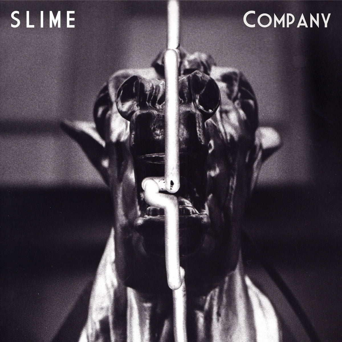 Slime – Company vinyl record cover