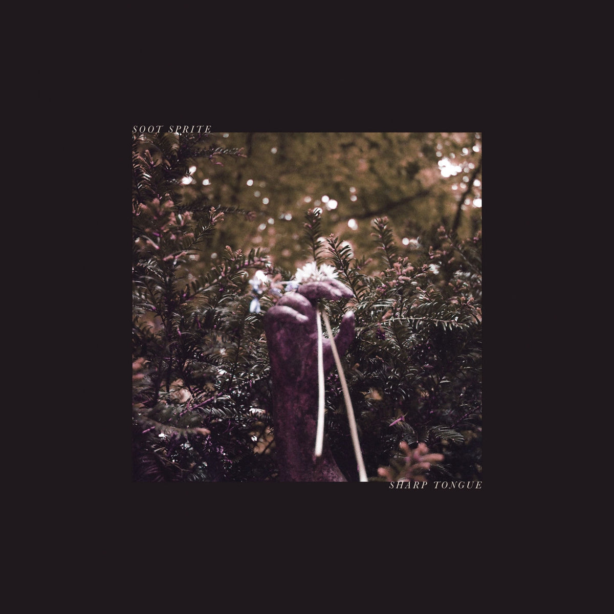 Soot Sprite – Sharp Tongue vinyl cover
