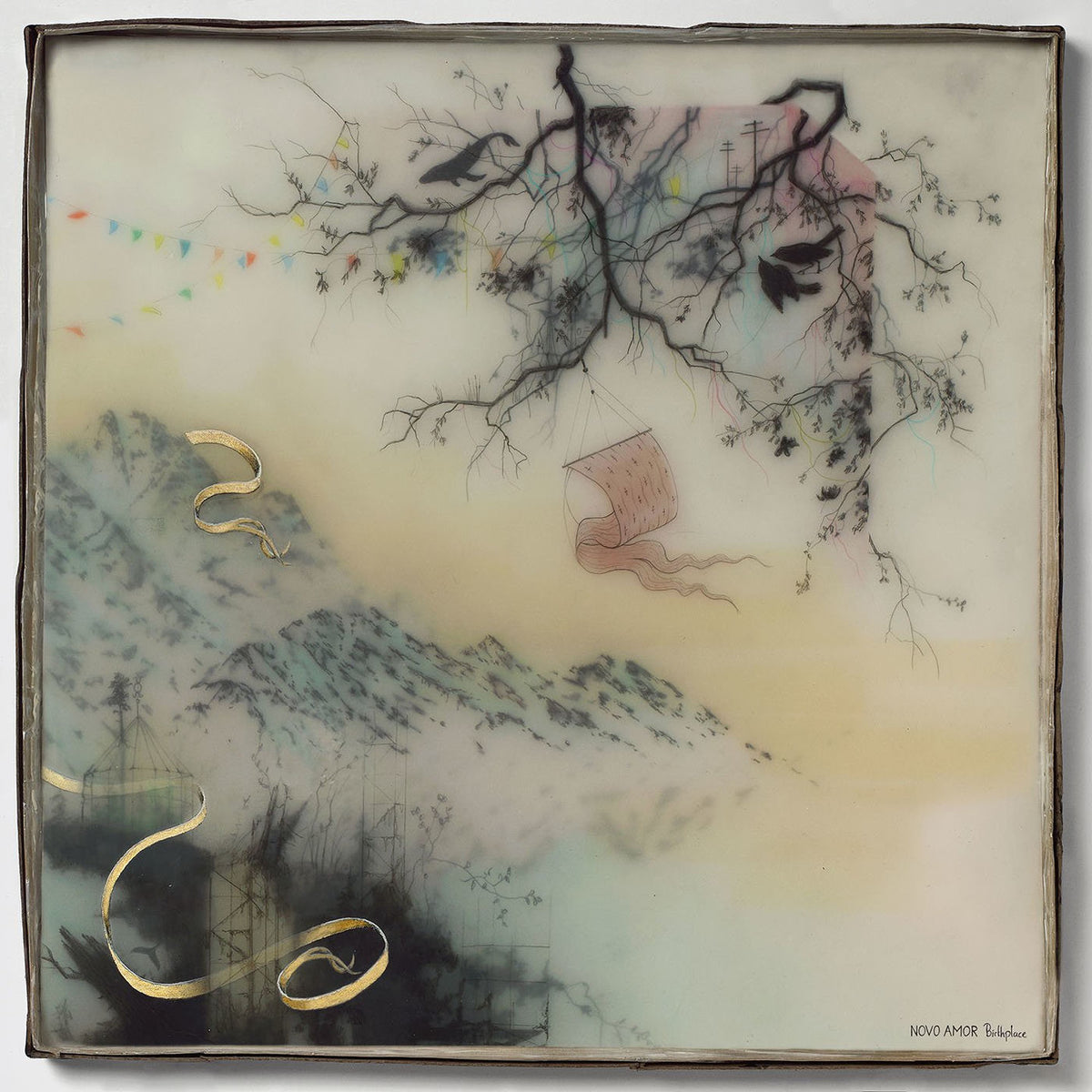 Novo Amor – Birthplace vinyl record cover