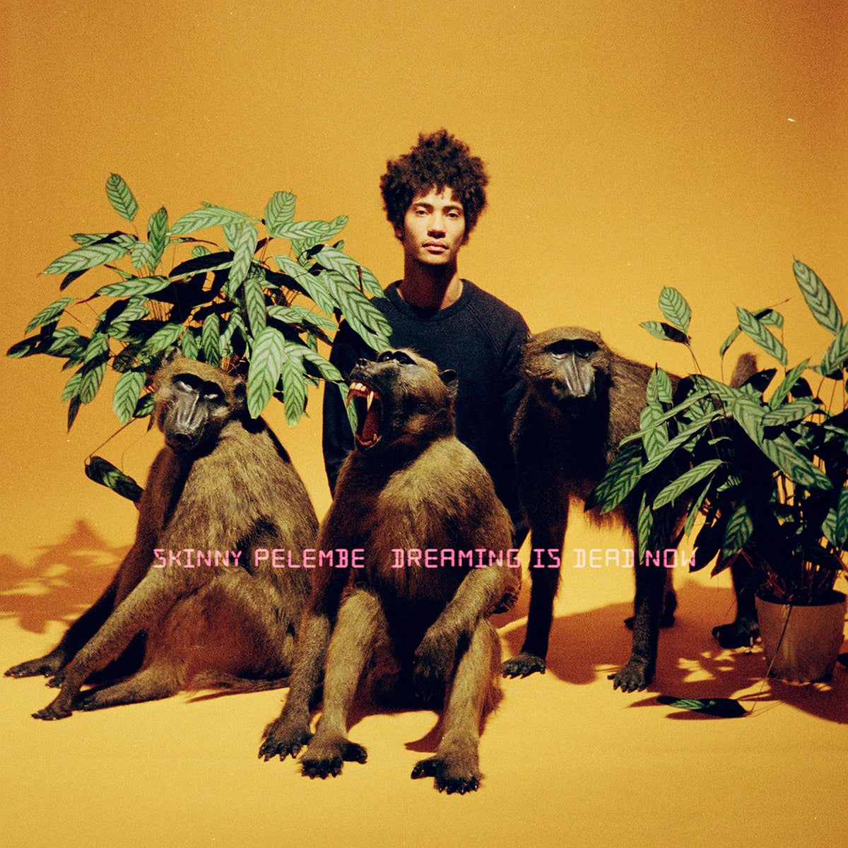 Skinny Pelembe – Dreaming Is Dead Now vinyl cover