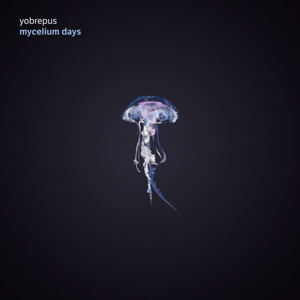 Yobrepus – Mycelium Days vinyl record cover