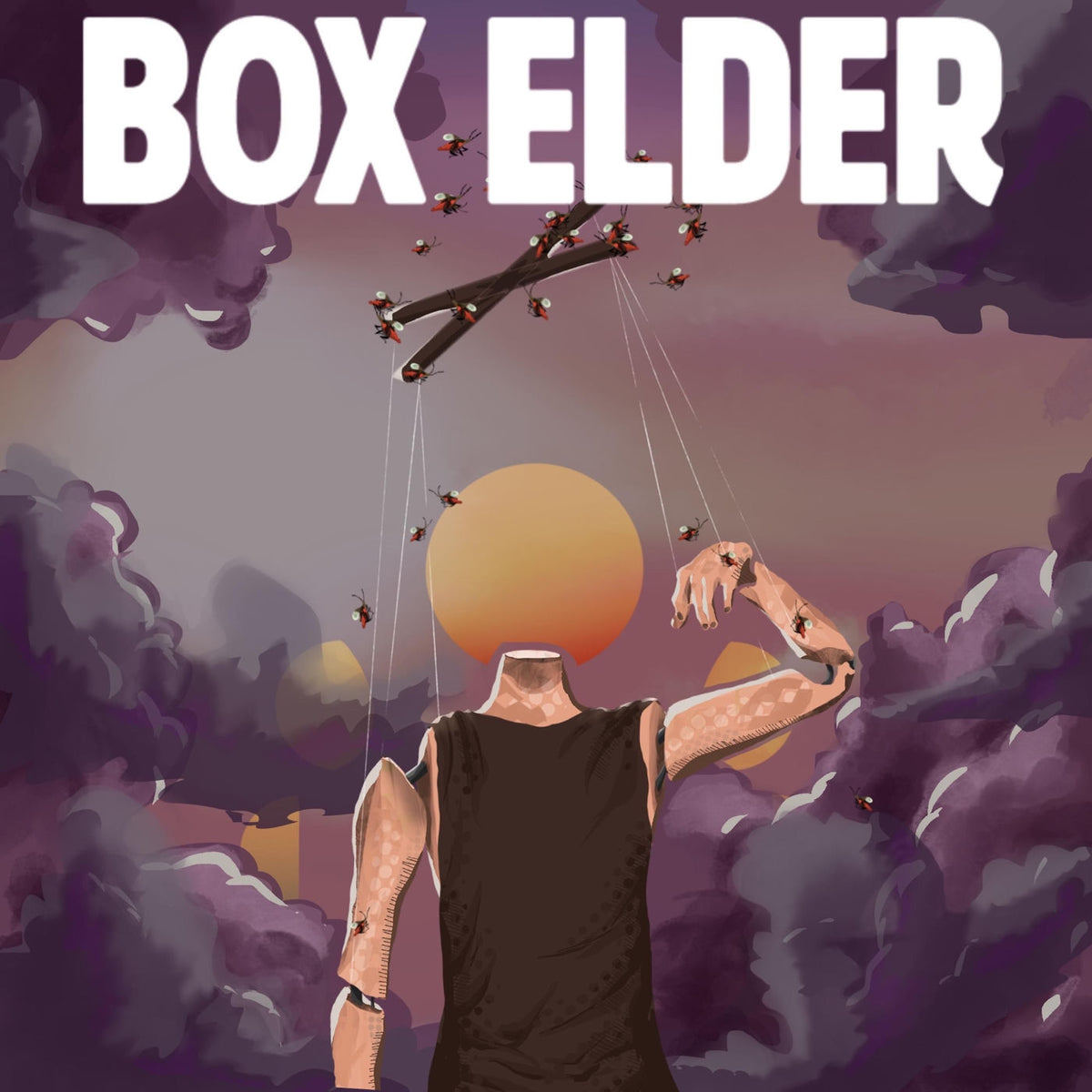 Box Elder – Box Elder vinyl record cover